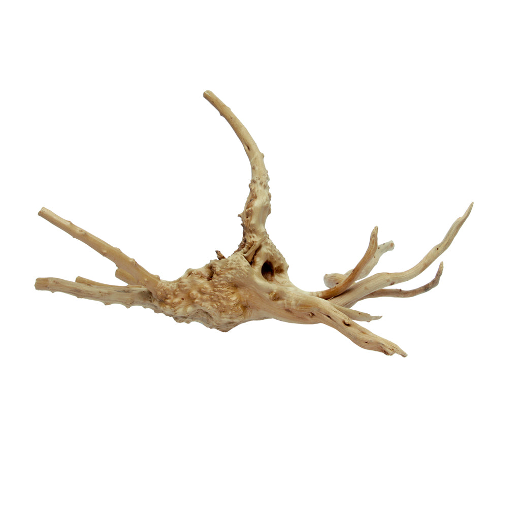 HabiStat Spider Root