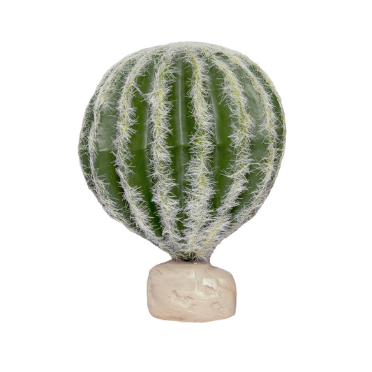 HabiStat Cacti - Barrel