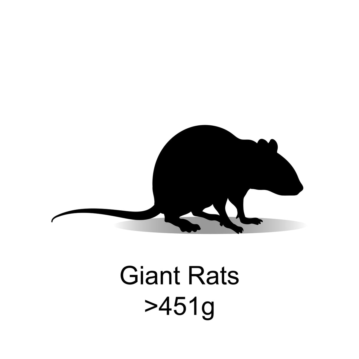 Frozen Scale Rats Frozen Giant Rats 451g+ 3 Pack – Bermondsey Exotics