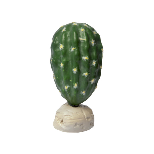 HabiStat Cacti - Stenocereus