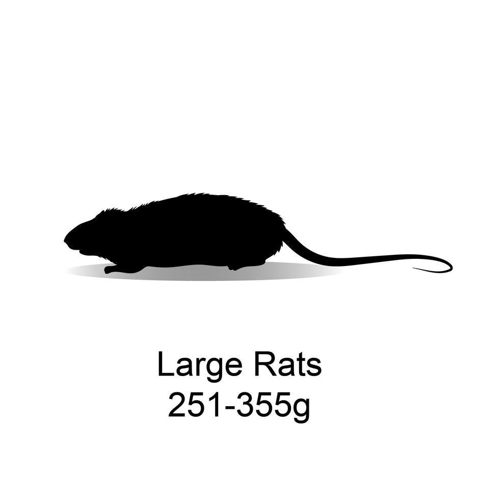 Frozen Rats – Bermondsey Exotics