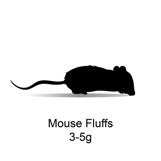 Frozen Mouse Fluffs 3-5g – Bermondsey Exotics